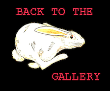 BACK TO THE GALLERY